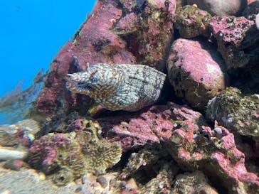九十九島水族館海きららに投稿された画像（2025/9/28）