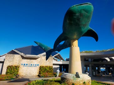 沖縄美ら海水族館に投稿された画像（2025/9/28）