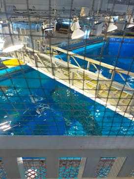 沖縄美ら海水族館に投稿された画像（2025/9/28）