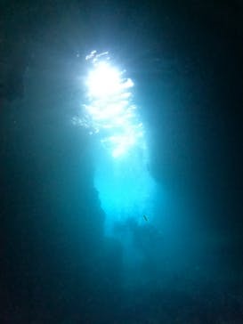 武藤潜水に投稿された画像（2025/9/28）