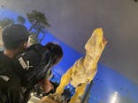 福井県立恐竜博物館に投稿された画像（2025/9/28）