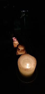 安城産業文化公園デンパークに投稿された画像（2025/9/28）