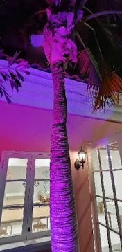 安城産業文化公園デンパークに投稿された画像（2025/9/28）