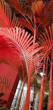 安城産業文化公園デンパークに投稿された画像（2025/9/28）