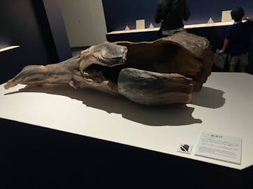 正倉院 THE SHOW ―感じる。いま、ここにある奇跡―　@上野の森美術館に投稿された画像（2025/9/28）