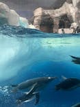 名古屋港水族館に投稿された画像（2025/9/28）