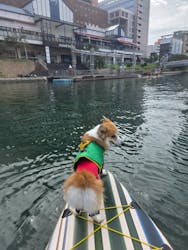 北九州アーバンサップ協会に投稿された画像（2025/9/28）