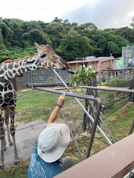 沖縄こどもの国に投稿された画像（2025/9/28）