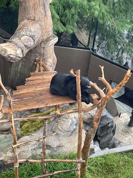 沖縄こどもの国に投稿された画像（2025/9/28）