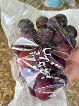 果実の里 原田農園に投稿された画像（2025/9/28）