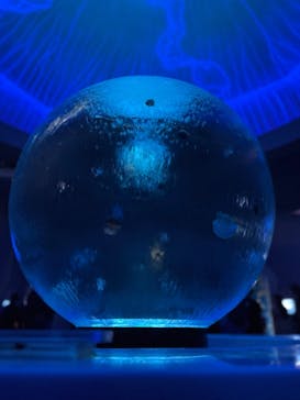 新江ノ島水族館に投稿された画像（2025/9/28）