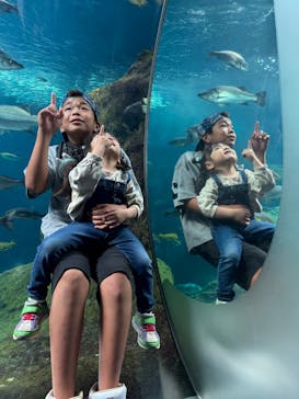 新江ノ島水族館に投稿された画像（2025/9/28）