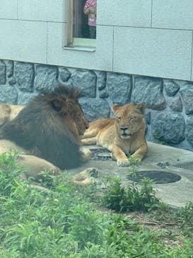 東京動物園協会_多摩動物公園に投稿された画像（2025/9/28）