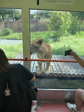 東京動物園協会_多摩動物公園に投稿された画像（2025/9/28）