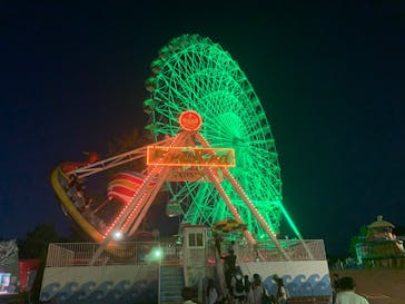 日本モンキーパークに投稿された画像（2025/9/28）