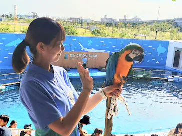 仙台うみの杜水族館に投稿された画像（2025/9/28）