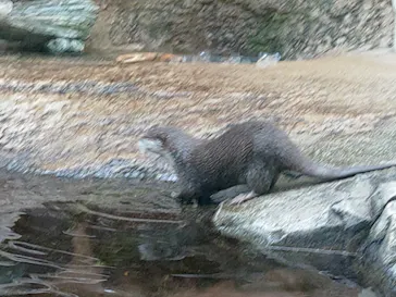 仙台うみの杜水族館に投稿された画像（2025/9/28）