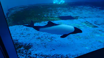 仙台うみの杜水族館に投稿された画像（2025/9/28）