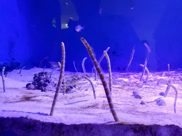 仙台うみの杜水族館に投稿された画像（2025/9/28）