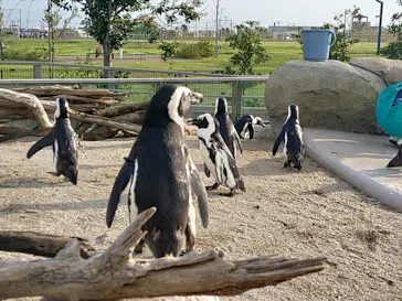 仙台うみの杜水族館に投稿された画像（2025/9/28）