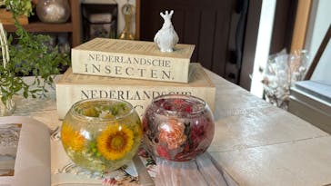 SEASON（シーズン）に投稿された画像（2025/9/28）