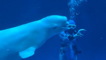 島根県立 しまね海洋館に投稿された画像（2025/9/28）