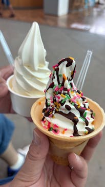 島根県立 しまね海洋館に投稿された画像（2025/9/28）