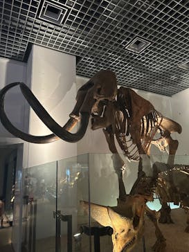 国立科学博物館に投稿された画像（2025/9/28）