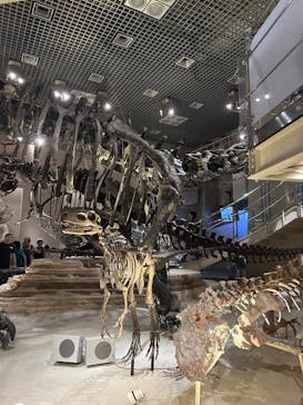 国立科学博物館に投稿された画像（2025/9/28）