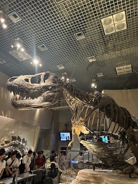 国立科学博物館に投稿された画像（2025/9/28）