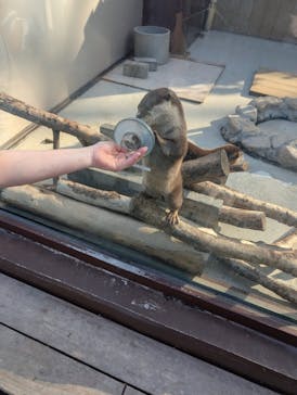 横浜・八景島シーパラダイスに投稿された画像（2025/9/28）