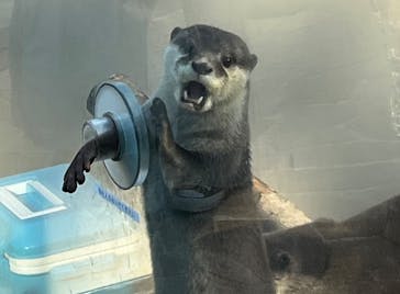 横浜・八景島シーパラダイスに投稿された画像（2025/9/28）