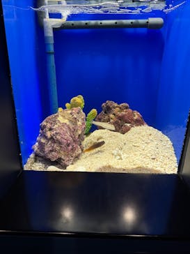 サンシャイン水族館に投稿された画像（2025/9/28）