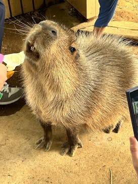 横浜・八景島シーパラダイスに投稿された画像（2025/9/28）