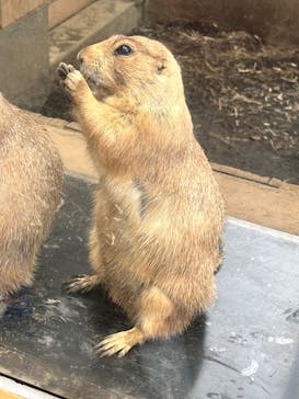 横浜・八景島シーパラダイスに投稿された画像（2025/9/28）