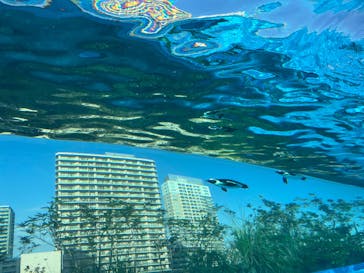 サンシャイン水族館に投稿された画像（2025/9/28）