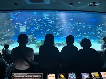 サンシャイン水族館に投稿された画像（2025/9/28）