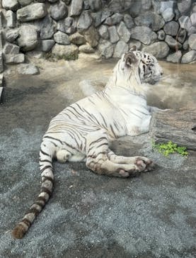 東武動物公園に投稿された画像（2025/9/28）