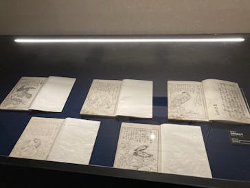 新宿歌舞伎町春画展ー文化でつむぐ「わ」のひととき。に投稿された画像（2025/9/28）