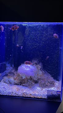 マクセル アクアパーク品川に投稿された画像（2025/9/28）