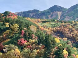 十勝岳温泉　湯元　凌雲閣に投稿された画像（2025/9/28）