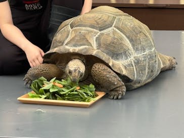 マクセル アクアパーク品川に投稿された画像（2025/9/28）