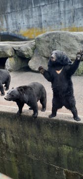 奥飛騨クマ牧場に投稿された画像（2025/9/28）
