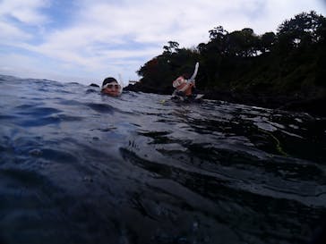 ダイブハウス富戸に投稿された画像（2025/9/28）