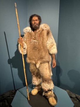 特別展「氷河期展 〜人類が見た4万年前の世界〜」（国立科学博物館）に投稿された画像（2025/9/28）