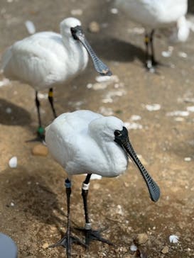 多摩動物公園に投稿された画像（2025/9/28）