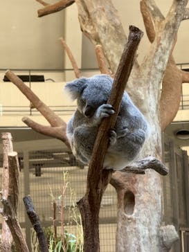 多摩動物公園に投稿された画像（2025/9/28）
