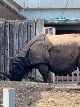 多摩動物公園に投稿された画像（2025/9/28）