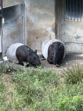 多摩動物公園に投稿された画像（2025/9/28）