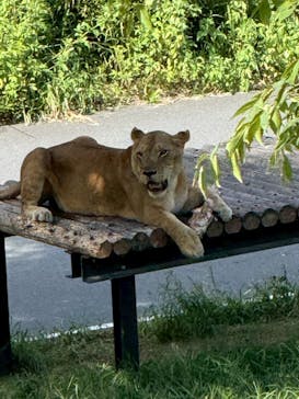 多摩動物公園に投稿された画像（2025/9/28）